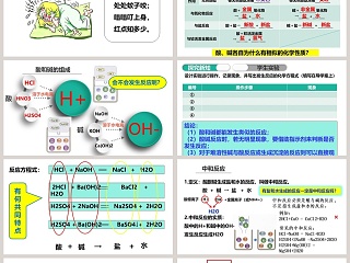 -酸和碱的反应教学ppt课件