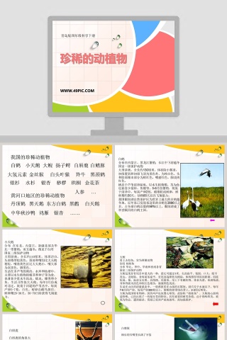 珍稀的动植物-青岛版四年级科学下册教学ppt课件下载