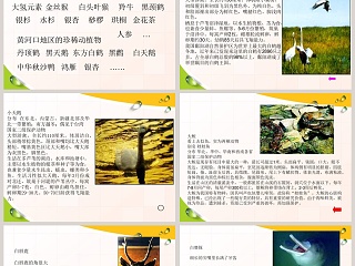 珍稀的动植物-青岛版四年级科学下册教学ppt课件