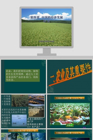 第四章中国的经济发展-农业教学ppt课件
