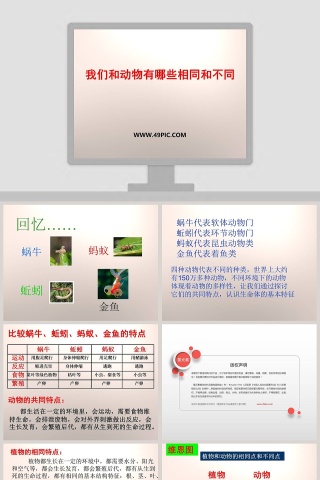 我们和动物有哪些相同和不同教学ppt课件