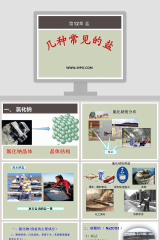 几种常见的盐-第教学ppt课件