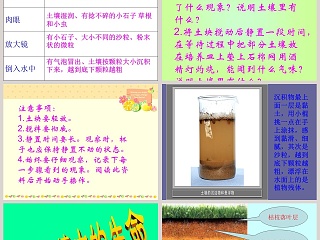 土壤里有什么-三植物生活的土地教学ppt课件