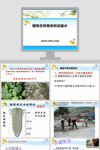 植物怎样吸收和运输水_PPT模板_医学护理行业