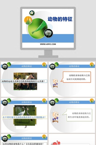 动物的特征教学ppt课件