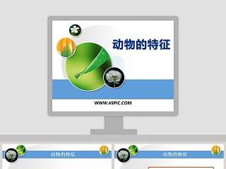 动物的特征教学ppt课件