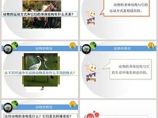 动物的特征教学ppt课件