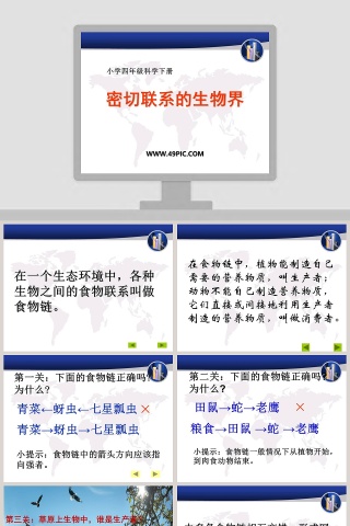 密切联系的生物界-小学四年级科学下册教学ppt课件