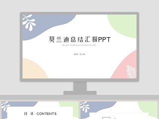 简约莫兰迪总结汇报PPT模板