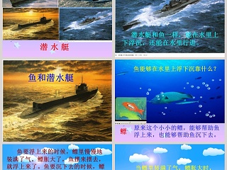 鄂教版四年级科学下册第-16教学ppt课件