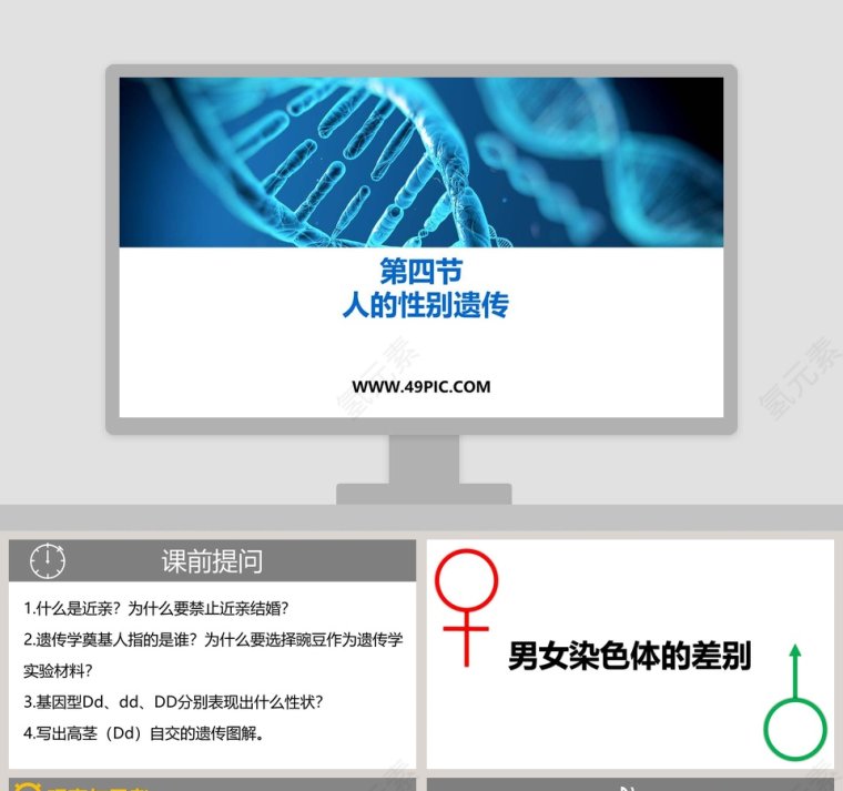 第四节-人的性别遗传教学ppt课件第1张