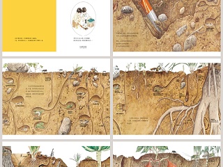 地底下的动物幼儿园绘本教育课件