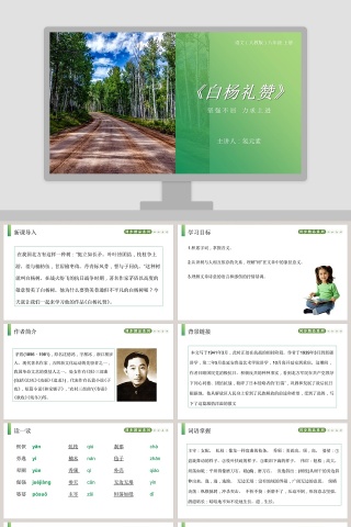 白杨礼赞-语文人教版八年级 上册教学ppt课件