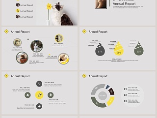 Business Annual Report    PPT