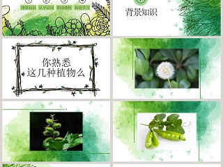 植物妈妈有办法ppt