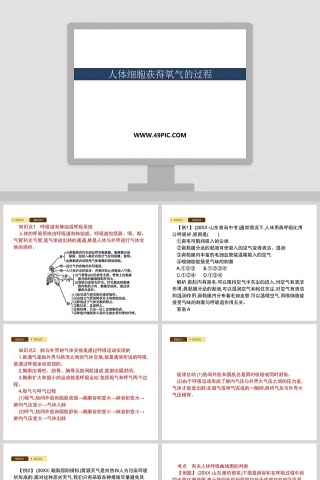 人体细胞获得氧气的过程_PPT模板