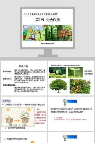 北师大版七年级上册生物第-3教学ppt课件