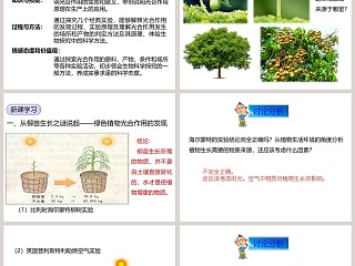 北师大版七年级上册生物第-3教学ppt课件