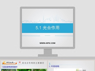 观察洋葱表皮细胞ppt