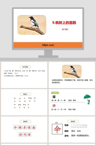 教师课件枫树上的喜鹊语文课件PPT