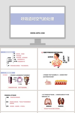 呼吸道对空气的处理教学ppt课件