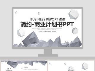 简约商业计划书PPT