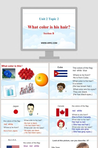 Unit 2 Topic 2-What color is his hair教学ppt课件下载
