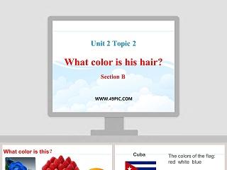 Unit 2 Topic 2-What color is his hair教学ppt课件