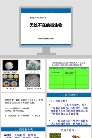 无处不在的微生物：医学护理行业PPT模板