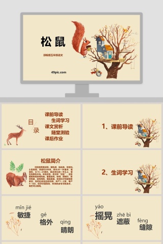 部编版五年级语文松鼠PPT课件