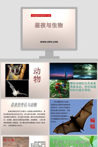 昼夜与生物-青岛版四年级科学下册教学ppt课件