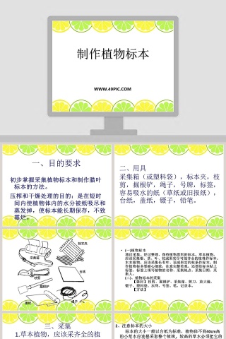 制作植物标本教学ppt课件下载