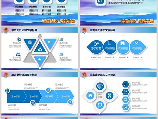 税务税收工作汇报PPT