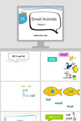 Small Animals-11教学ppt课件