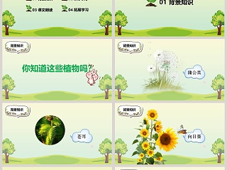 植物妈妈有办法ppt