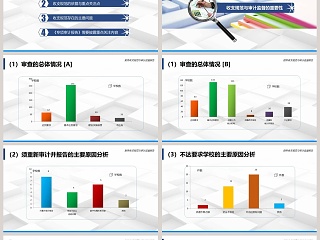 2019财务收支规范与审计监督报告