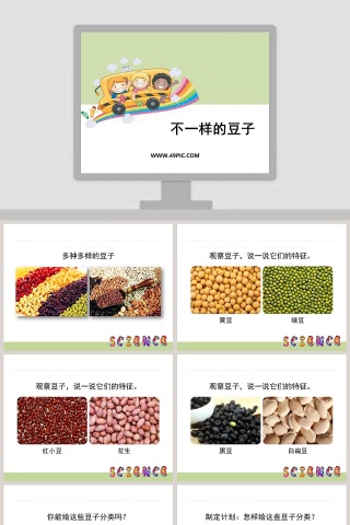 0-不一样的豆子教学ppt课件