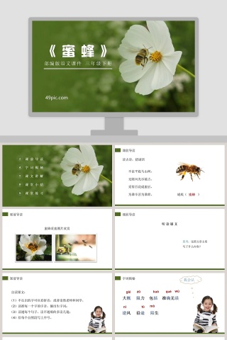 部编版三年级语文下册蜜蜂语文课件PPT