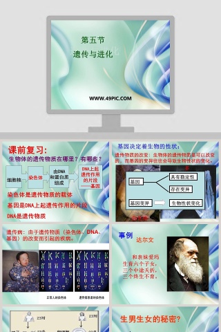 第五节-遗传与进化教学ppt课件