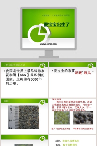 湘教版三年级科学下册课件-蚕宝宝出生了教学ppt课件