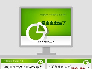 湘教版三年级科学下册课件-蚕宝宝出生了教学ppt课件