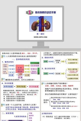 第一课时教学ppt课件