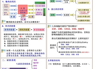 第一课时教学ppt课件