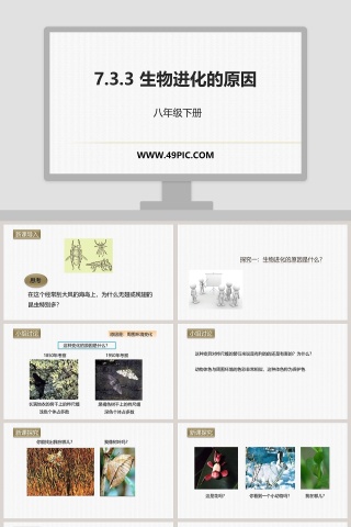 -生物进化的原因教学ppt课件