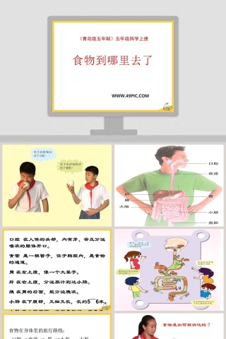 青岛版五年制五年级科学上册-食物到哪里去了教学ppt课件