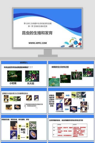 昆虫的生殖和发育-第七单元 生物圈中生命的延续和发展教学ppt课件