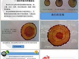 科学自己做我也能成功教学ppt课件
