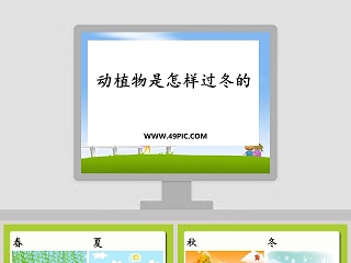 小动物怎样过冬教案ppt