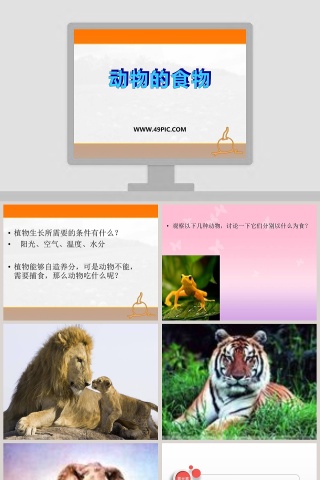 动物的食物教学ppt课件