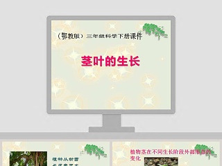 三年级下册科学全册ppt课件